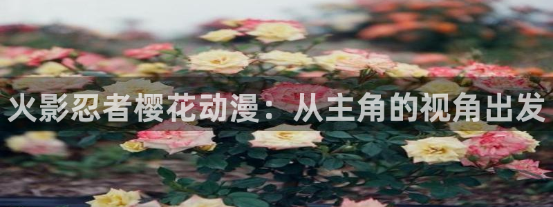 91动漫版：火影忍者樱花动漫：从主角的视角出发