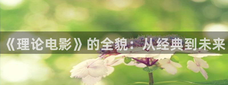 18无套直91动漫：《理论电影》的全貌：从经典到未来