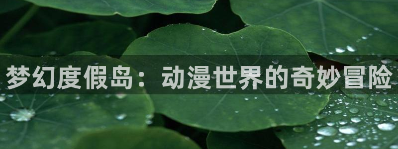 免费91动漫：梦幻度假岛：动漫世界的奇妙冒险