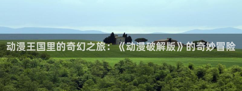 91动漫第一季：动漫王国里的奇幻之旅：《动漫破解版》的奇妙冒险