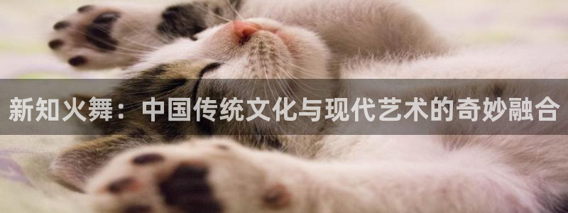 91动漫导航
