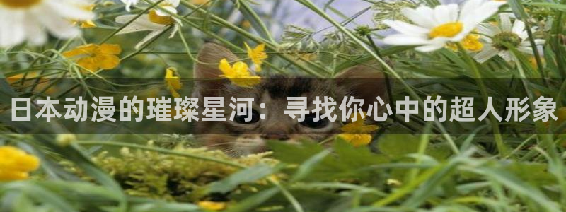 91动漫高清：日本动漫的璀璨星河：寻找你心中的超人形象
